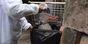 La lucha contra el dengue no cesa en Jujuy.