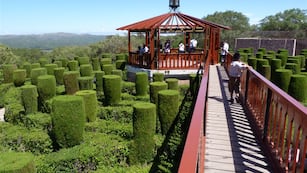 El Laberinto de los Cocos para toda la familia