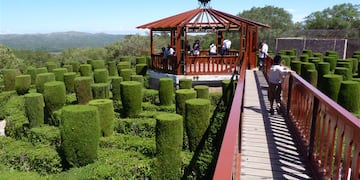 El Laberinto de los Cocos para toda la familia