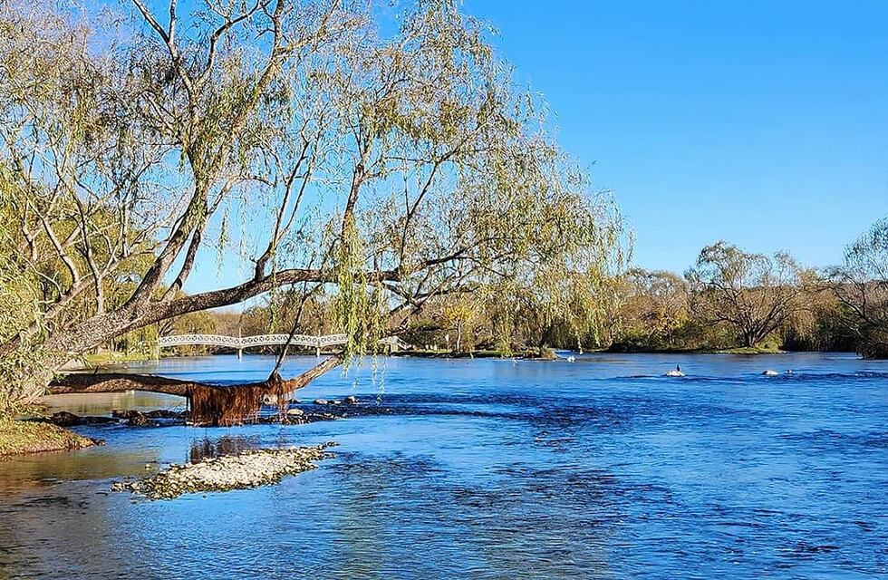 Captaron un legendario animal en un conocido río de Córdoba y temen por su desaparición