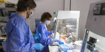 Los investigadores Maximiliano Juri Ayub y Jimena Manzur que integran el Área de Biología Molecular del Departamento de Biología de la Facultad de Química, Bioquímica y Farmacia. Gentileza UNSL