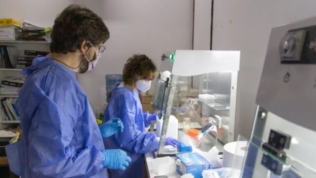 Los investigadores Maximiliano Juri Ayub y Jimena Manzur que integran el Área de Biología Molecular del Departamento de Biología de la Facultad de Química, Bioquímica y Farmacia. Gentileza UNSL