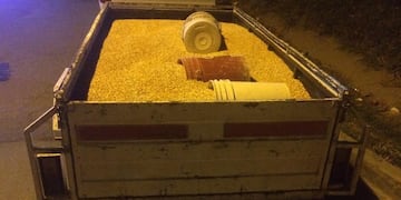 Tras otro saqueo al tren en Remedios de Escalada, los atraparon con una tonelada de maíz.