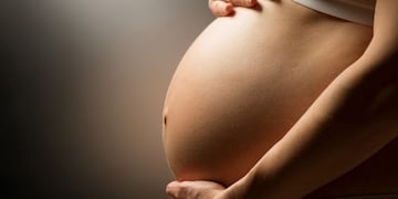 Agrotóxicos: qué efectos tienen en la salud de las mujeres embarazadas y sus hijes