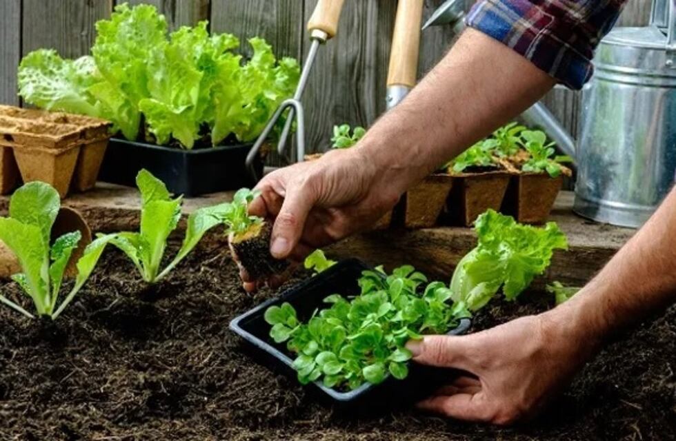 Inician capacitaciones para la “Huerta en Casa” otoño-invierno