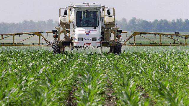 Esperando las estimaciones productivas de los países pioneros en los cultivos de maíz y soja.