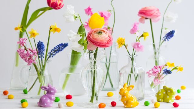 Si vas a separar unas cuantas rosas para poner en floreros, cortalas con la vara larga y cuando el pimpollo esté comenzando a abrir, ni antes ni después.
