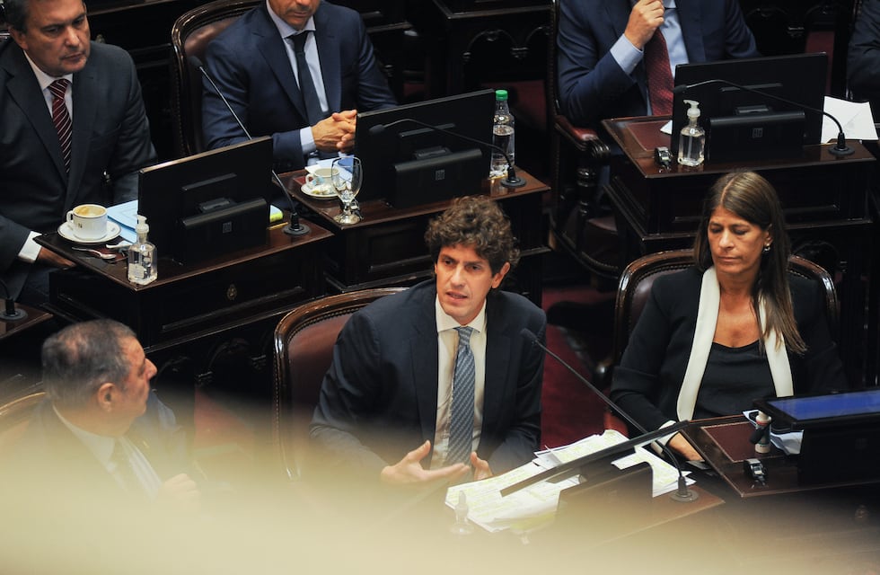 El discurso de Lousteau en el debate por el DNU: “Voy a votar en contra porque es anticonstitucional”