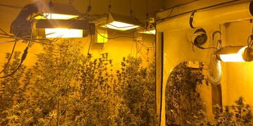 Policías provinciales encontraron el cultivo en una vivienda del Barrio Pirayuí. Buscaban pistas por  un femicidio en la misma barriada.