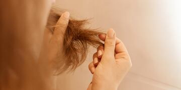 ¡Adiós al pelo seco!: Hidratá tu cabello con esta económica máscara natural que se hace con 3 ingredientes.
