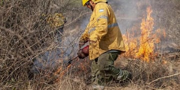 Bomberos debió sofocar 10 incendios presumiblemente intencionales.
