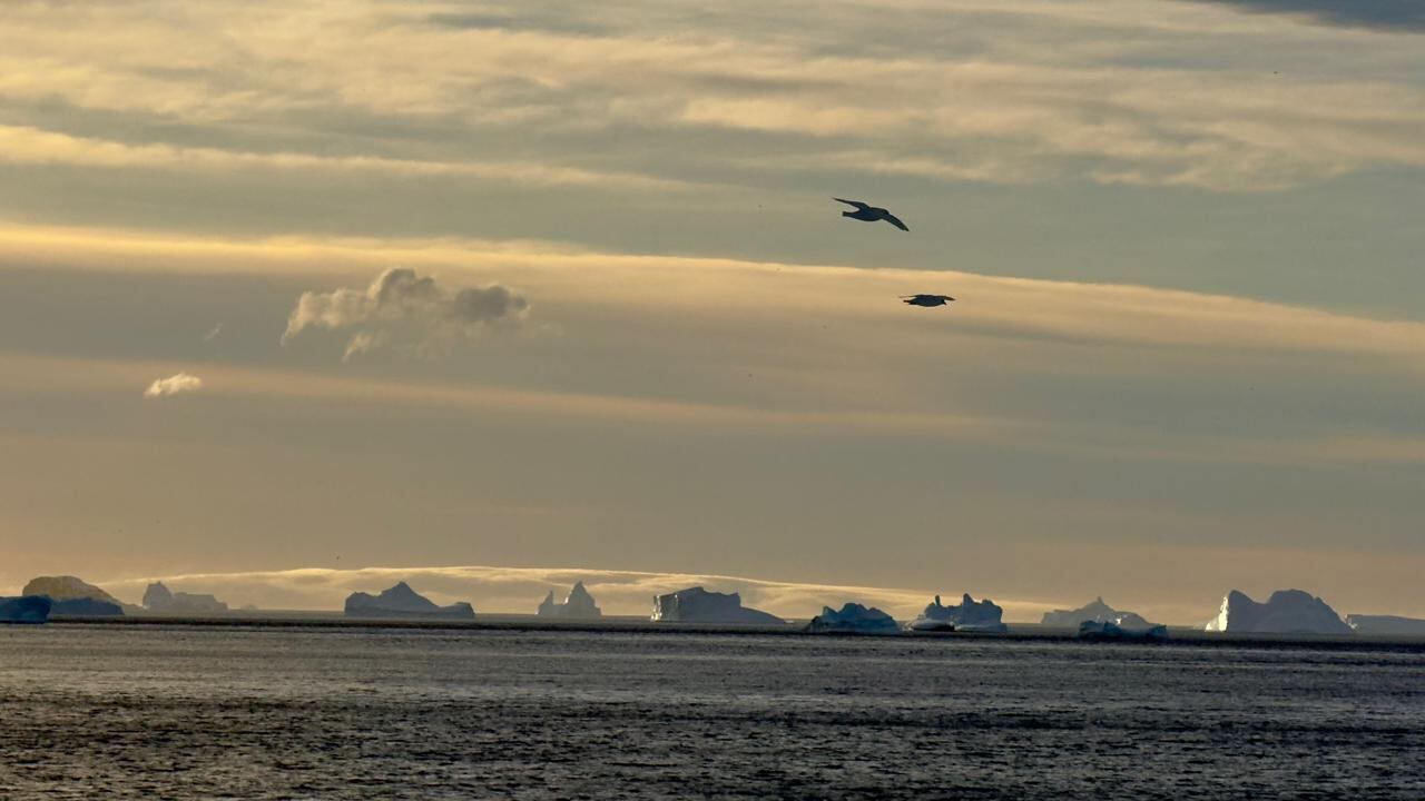 “Tierra Blanca”, el documental que muestra la vida de un tresarroyense en la Antártida