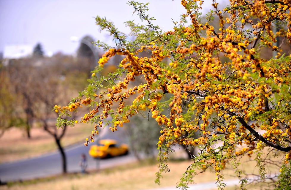 Clima en Córdoba: cómo estará el tiempo este sábado 13 de septiembre y el fin de semana