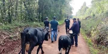 Efectivos policiales recuperaron dos animales en San Antonio.