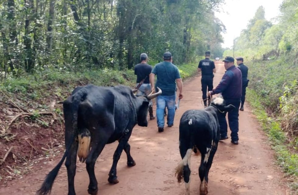 Efectivos policiales recuperaron dos animales en San Antonio