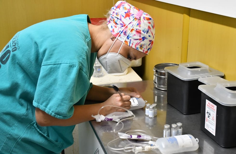 Tratamiento con suero hiperinmune equino permitió atender a 50 pacientes en Chaco