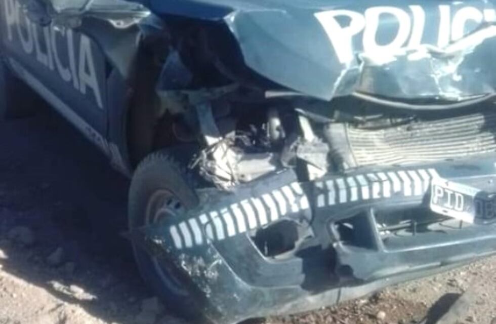 Un móvil de la Policía chocó con un caballo camino a Punta del Agua