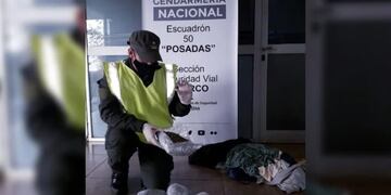 Gendarmería incautó marihuana en un micro de larga distancia en Posadas.