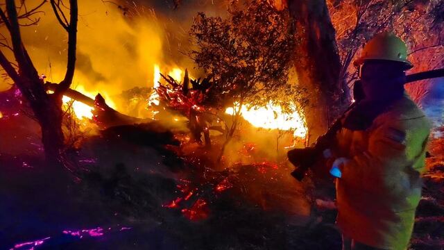 Bomberos Arroyito incendio forestal