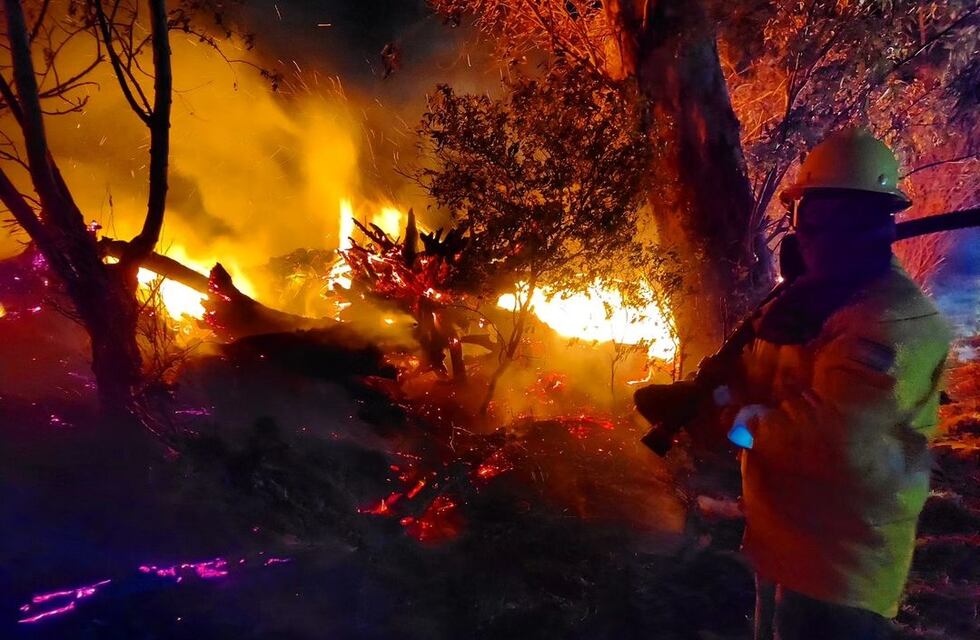 Bomberos Arroyito trabajó con 4 dotaciones para contener un incendio en un sector industrial