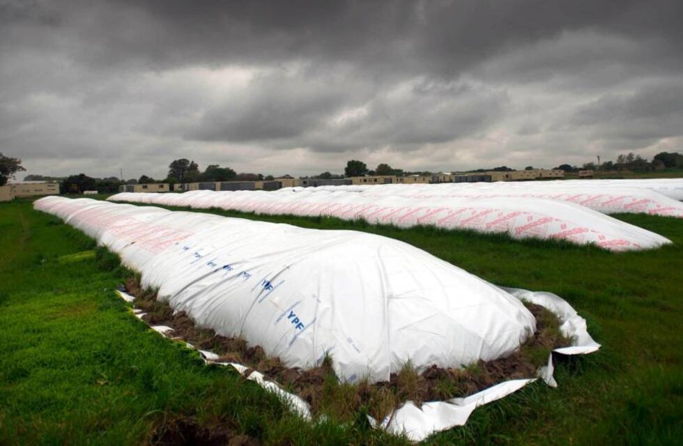 Transito: robó silo bolsas, las vendió y la policía lo detuvo cuando las iba a cobrar