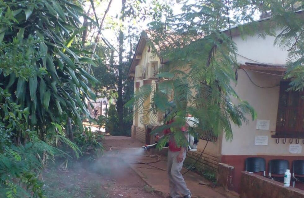 Operativo contra el dengue en el predio de emergencias 107 y el museo Dra. Marta T. Schwartz en Iguazú