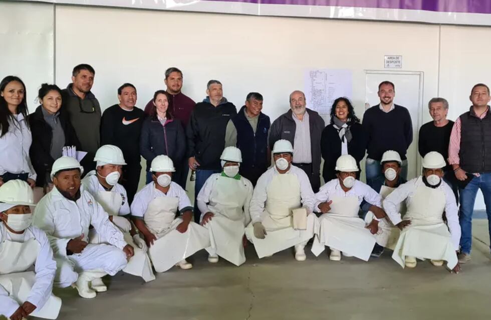 Carne de llama y cordero producida en Jujuy llegará a todo el país