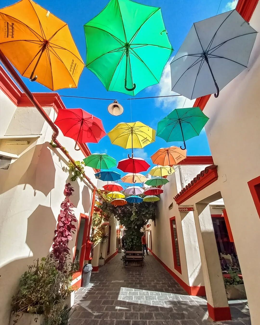 Galería Solar de French