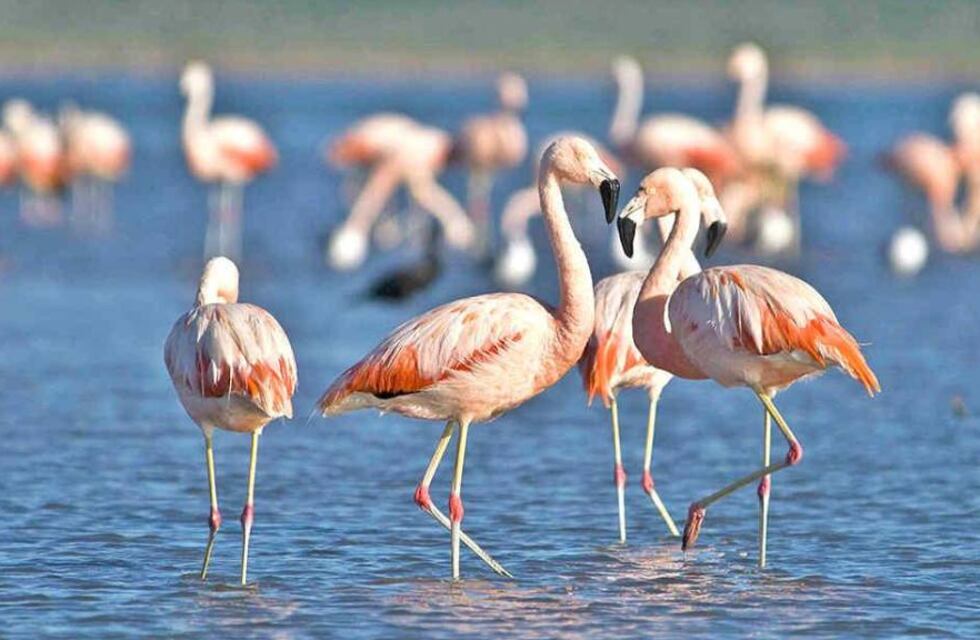 Clima en Ansenuza: cómo estará el tiempo para este miércoles 19 de mayo