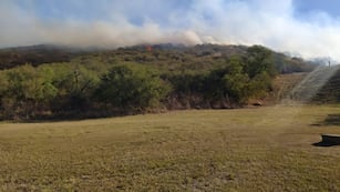 Incendio. Bomberos de distintos cuarteles combaten el foco.