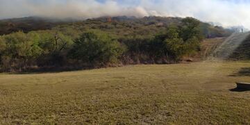 Incendio. Bomberos de distintos cuarteles combaten el foco.