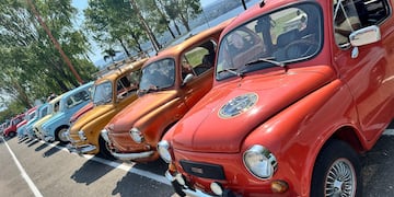 Un viaje al pasado sobre ruedas: más de 300 Fiat 600 coparon la costanera del San Roque