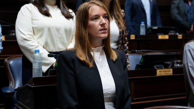 Tiene media sanción el proyecto de ley que regula la actividad de acompañantes terapéuticos.