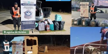 Operativo Lapacho: Intensifican controles para combatir el narcotráfico y el contrabando.