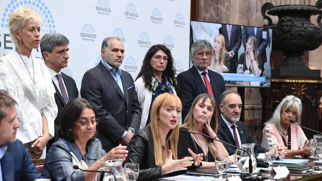 Los senadores del Frente de Todos en conferencia de prensa (Foto: Comunicación Senado)