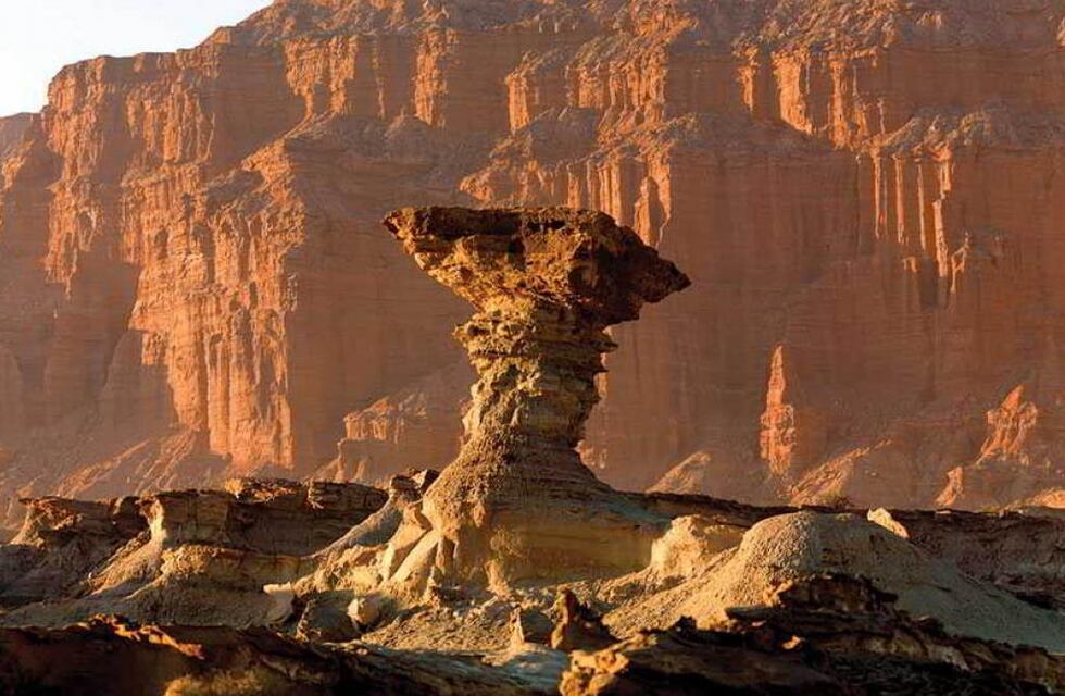 Turismo en San Juan: creció la cantidad de visitantes en el Parque Ischigualasto y trabajan en mejorar la inclusión