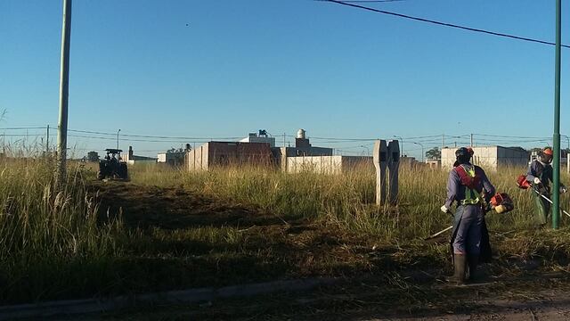 desmalezado y limpieza de lotes baldíos en Rafaela