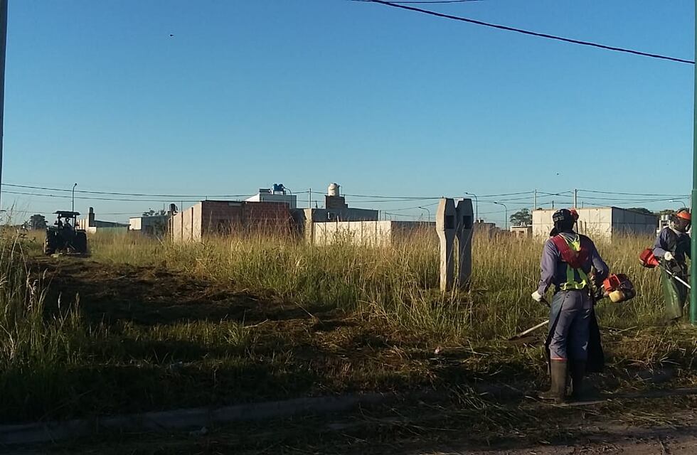 Reclaman mantener desmalezados los lotes