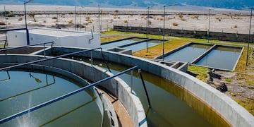 La Planta se encuentra en su primera etapa.