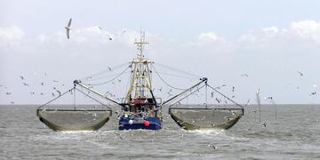 Pesca en el sur. (La Voz / Archivo)