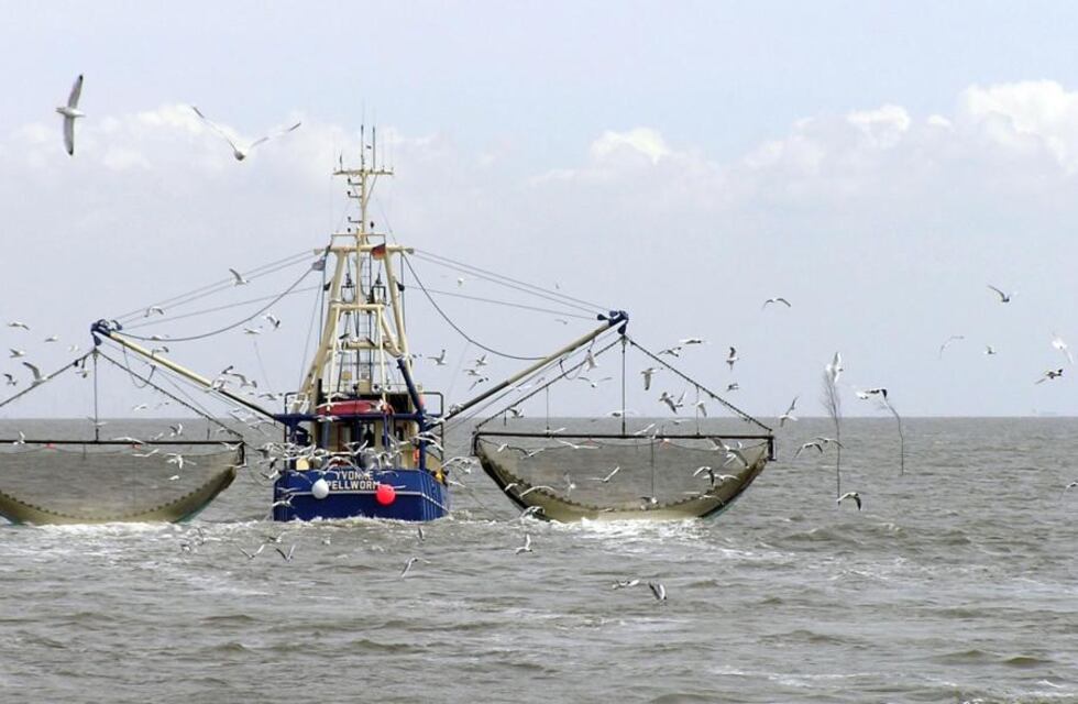 Iniciarán el curso de marinero de zona especial Canal Beagle para el sector pesquero