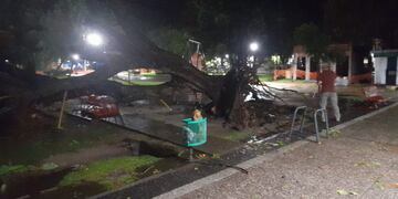 Voladuras de techos, arboles caídos, anegamientos y nuevos evacuados en Gualeguaychú tras la tormenta