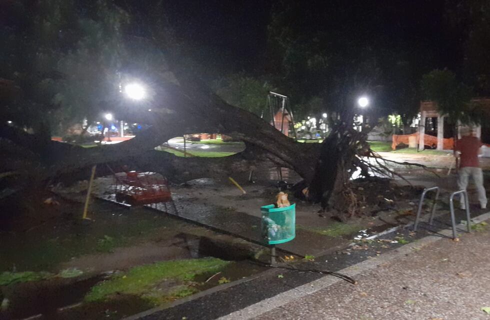Voladuras de techos, arboles caídos, anegamientos y nuevos evacuados en Gualeguaychú tras la tormenta