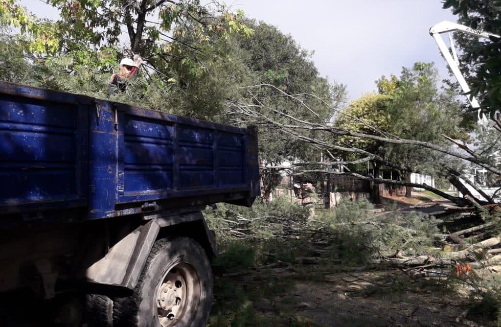 Carlos Paz: lo que dejó el temporal y los sectores que continúan limpiando en la ciudad