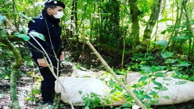 San Ignacio: secuestran raídos de yerba mate.