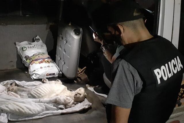 Publicaron una foto en Facebook de un perro desnutrido y la policía hizo un allanamiento para rescatarlo.