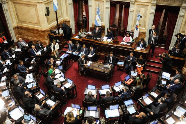 Senado de la nación
sesión
Foto Federico Lopez Claro