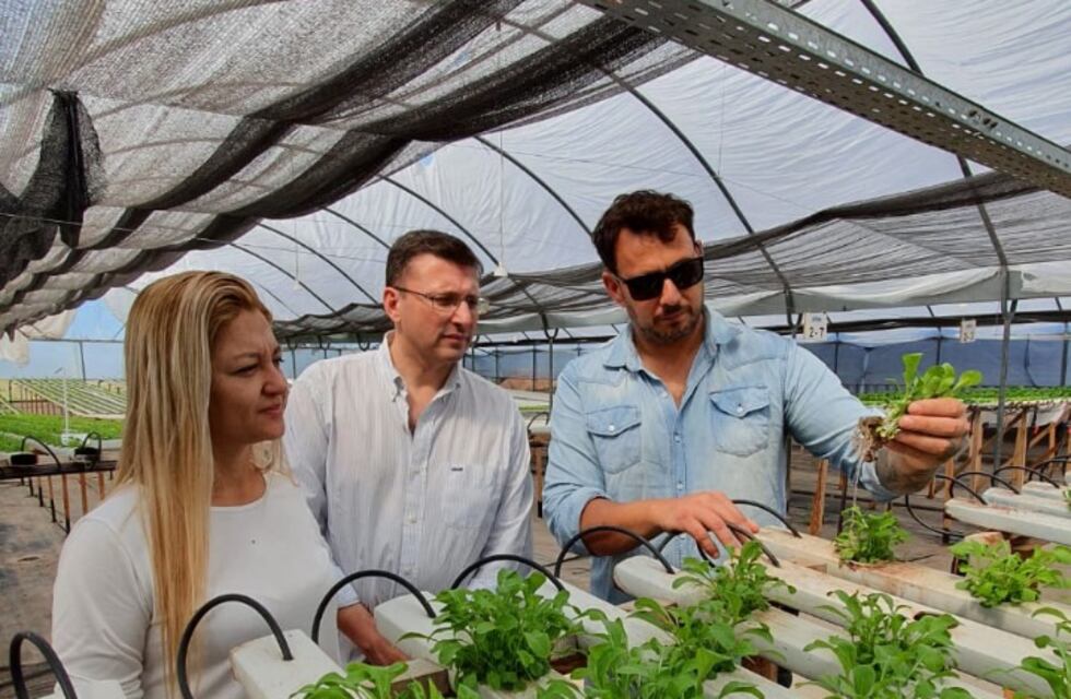 Lisandro Mársico y Carla Boidi recorrieron un emprendimiento hidropónico