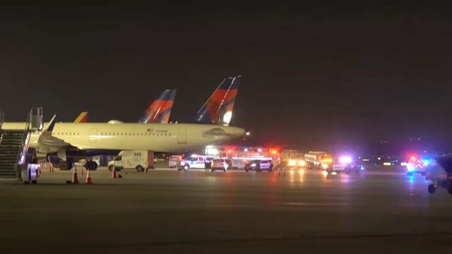 Ocurrió en un aeropuerto de Texas. Foto: New York Post.