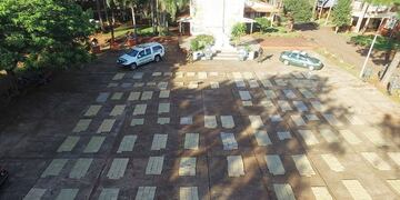 Golpe al narcotráfico: Gendarmería Nacional decomisó más de 3 mil kilogramos de Marihuana